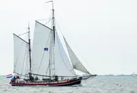 Puistekaubaveoalus müügiks