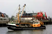 Trawler müügiks