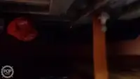 Traaler müügiks