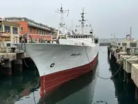Traaler müügiks