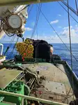 Purse seiner müügiks