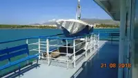Ro-Ro ship müügiks