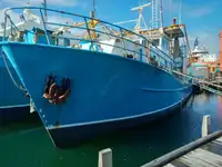 Trawler müügiks
