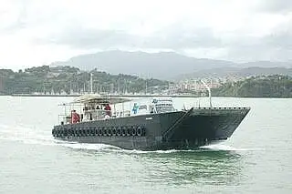 Maandamisalus, tank müügiks