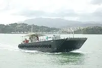 Maandamisalus, tank müügiks