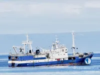 Traaler müügiks