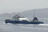 Puistekaubaveoalus müügiks