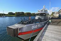 Meeskonnaalusega müügiks