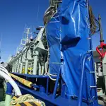 Purse seiner müügiks