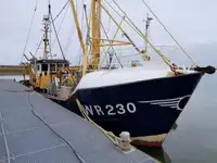 Trawler müügiks