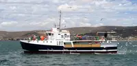 Purse seiner müügiks
