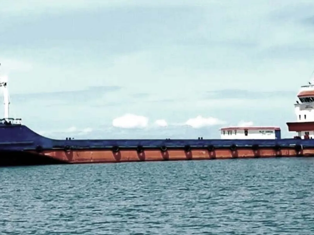 Maandamisalus, tank müügiks