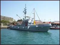Tulepaat müügiks