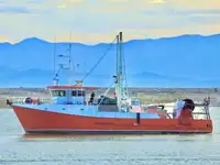 Trawler müügiks