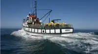 Trawler müügiks