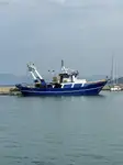 Trawler müügiks