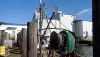 Traaler müügiks