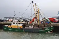 Trawler müügiks