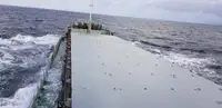 Puistekaubaveoalus müügiks