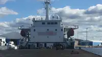 Puistekaubaveoalus müügiks