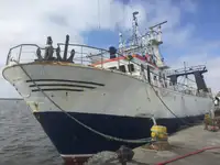 Traaler müügiks