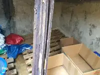 Traaler müügiks