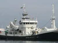 Traaler müügiks