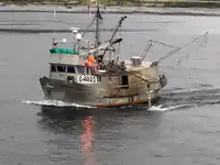 Longliner müügiks