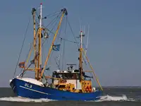 Traaler müügiks