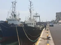 Traaler müügiks