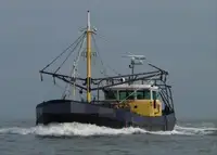 Traaler müügiks