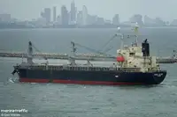 Puistekaubaveoalus müügiks