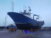 Tuunalipüüdja müügiks