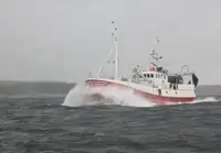 Trawler müügiks