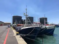 Longliner müügiks