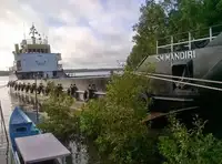 Maandamisalus, tank müügiks