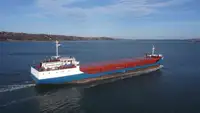 Puistekaubaveoalus müügiks