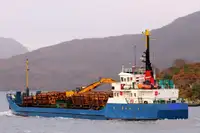 Puistekaubaveoalus müügiks