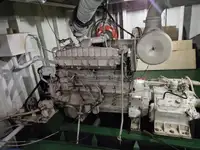 Maandamisalus, tank müügiks