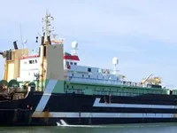 Traaler müügiks