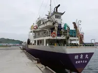 General Cargo/Multi-purpose müügiks