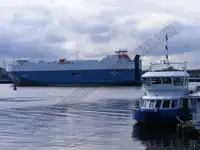 Puistekaubaveoalus müügiks