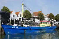 Trawler müügiks