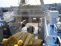 Elus kala vedav laev müügiks