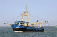 Traaler müügiks