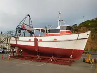 Traaler müügiks
