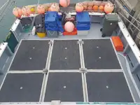 Pikkliinilaev müügiks