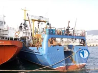 Traaler müügiks