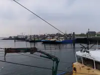 Traaler müügiks