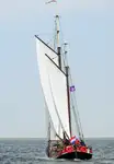 Puistekaubaveoalus müügiks